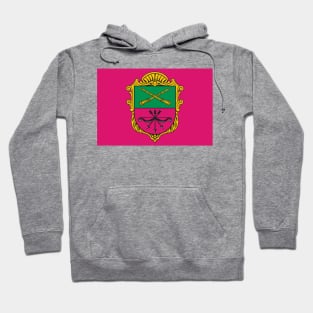 Flag of Zaporizhzhia Ukraine Hoodie